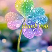 ヒメ日記 2025/08/17 15:50 投稿 星導瑠璃(ほしるべるり) 五十路マダムエクスプレス厚木店(カサブランカグループ)