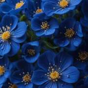 ヒメ日記 2025/10/12 06:38 投稿 星導瑠璃(ほしるべるり) 五十路マダムエクスプレス厚木店(カサブランカグループ)