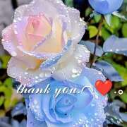 ヒメ日記 2025/11/30 17:54 投稿 星導瑠璃(ほしるべるり) 五十路マダムエクスプレス厚木店(カサブランカグループ)