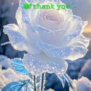 ヒメ日記 2026/02/15 16:24 投稿 星導瑠璃(ほしるべるり) 五十路マダムエクスプレス厚木店(カサブランカグループ)