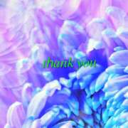 ヒメ日記 2026/03/22 15:50 投稿 星導瑠璃(ほしるべるり) 五十路マダムエクスプレス厚木店(カサブランカグループ)