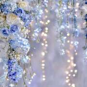 ヒメ日記 2026/04/26 06:22 投稿 星導瑠璃(ほしるべるり) 五十路マダムエクスプレス厚木店(カサブランカグループ)