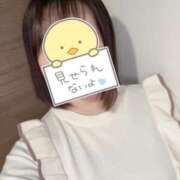 ヒメ日記 2025/04/02 12:43 投稿 るか ビデオdeはんど 横浜校