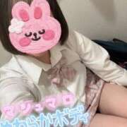 ヒメ日記 2025/11/19 19:13 投稿 るか ビデオdeはんど 横浜校