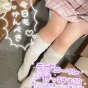 ヒメ日記 2026/03/17 08:55 投稿 るか ビデオdeはんど 横浜校