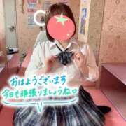 ヒメ日記 2026/09/01 07:42 投稿 るか ビデオdeはんど 横浜校
