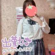 ヒメ日記 2026/09/23 07:42 投稿 るか ビデオdeはんど 横浜校