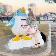 ヒメ日記 2025/12/02 12:38 投稿 魅音 Femme Fatale（ファムファタール）