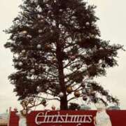 ヒメ日記 2024/12/21 14:54 投稿 長瀬　あんな 未熟な人妻