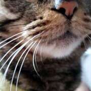 ヒメ日記 2025/03/08 11:13 投稿 とわこ 完熟ばなな川崎