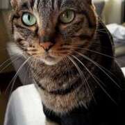 ヒメ日記 2025/03/25 08:05 投稿 とわこ 完熟ばなな川崎