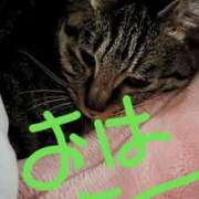 ヒメ日記 2025/04/02 07:57 投稿 とわこ 完熟ばなな川崎