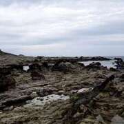 ヒメ日記 2025/04/28 13:18 投稿 とわこ 完熟ばなな川崎