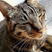 ヒメ日記 2025/04/29 08:30 投稿 とわこ 完熟ばなな川崎