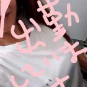 ヒメ日記 2025/06/03 11:44 投稿 とわこ 完熟ばなな川崎