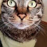 ヒメ日記 2025/06/29 18:31 投稿 とわこ 完熟ばなな川崎