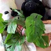 とわこ 川崎店のとわこです 完熟ばなな川崎