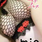 ヒメ日記 2025/02/07 19:23 投稿 みお 蒼いうさぎ