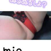 ヒメ日記 2025/03/19 21:32 投稿 みお 蒼いうさぎ