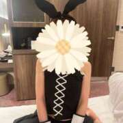 ヒメ日記 2025/06/14 15:57 投稿 新人ひなの☆業界未経験 セレブ パラダイス