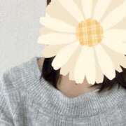 ヒメ日記 2026/01/20 09:57 投稿 新人ひなの☆業界未経験 セレブ パラダイス