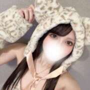 ヒメ日記 2025/08/05 16:31 投稿 レイナ きらめけ！にゃんにゃん学園in大宮