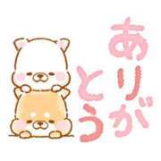 ヒメ日記 2025/11/13 22:28 投稿 春田和佳奈(はるたわかな) 五十路マダムエクスプレス厚木店(カサブランカグループ)