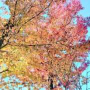 ヒメ日記 2025/11/14 17:48 投稿 春田和佳奈(はるたわかな) 五十路マダムエクスプレス厚木店(カサブランカグループ)