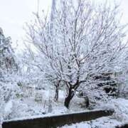 ヒメ日記 2026/02/08 22:18 投稿 春田和佳奈(はるたわかな) 五十路マダムエクスプレス厚木店(カサブランカグループ)