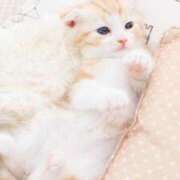 ヒメ日記 2026/02/12 22:34 投稿 春田和佳奈(はるたわかな) 五十路マダムエクスプレス厚木店(カサブランカグループ)