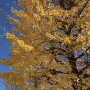 ヒメ日記 2024/12/18 10:00 投稿 こうめ 横浜人妻セレブリティ（ユメオト）