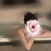 ヒメ日記 2025/04/22 18:30 投稿 こうめ 横浜人妻セレブリティ（ユメオト）