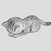 ヒメ日記 2025/05/27 06:37 投稿 りぜ ハピネス東京