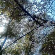 ヒメ日記 2026/03/29 05:57 投稿 りぜ ハピネス東京