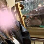 ヒメ日記 2026/04/16 06:07 投稿 りぜ ハピネス東京