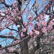 ヒメ日記 2025/03/21 16:12 投稿 さゆみ ～優しい若妻倶楽部～Mrs.女神