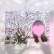 さゆみ いちばん好きな季節🌸 ～優しい若妻倶楽部～Mrs.女神