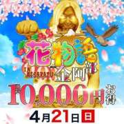 ヒメ日記 2024/04/20 13:34 投稿 にな 木更津人妻花壇