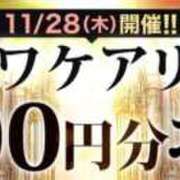 ヒメ日記 2024/11/28 08:20 投稿 にな 木更津人妻花壇