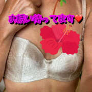 ヒメ日記 2025/07/04 17:21 投稿 ゆき 熟女の風俗最終章 宇都宮店