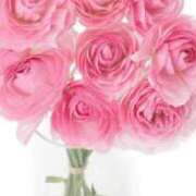 ヒメ日記 2025/11/13 23:07 投稿 とあ 熟女家 堺東店