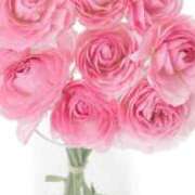 ヒメ日記 2026/01/26 17:06 投稿 とあ 熟女家 堺東店