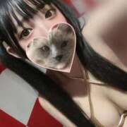 ヒメ日記 2025/11/11 11:32 投稿 ここあ【ときめきロリ巨乳】 ポニーテール和歌山店