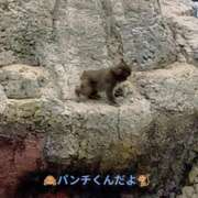 ヒメ日記 2026/02/26 16:06 投稿 三日月美伽 五十路マダムエクスプレス船橋店(カサブランカグループ)