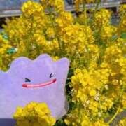 三日月美伽 出勤しました(* ?? ???)? 五十路マダムエクスプレス船橋店(カサブランカグループ)