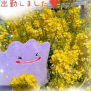 ヒメ日記 2026/03/28 09:48 投稿 三日月美伽 五十路マダムエクスプレス船橋店(カサブランカグループ)