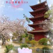 ヒメ日記 2026/04/01 16:18 投稿 三日月美伽 五十路マダムエクスプレス船橋店(カサブランカグループ)