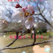 ヒメ日記 2026/04/05 10:02 投稿 三日月美伽 五十路マダムエクスプレス船橋店(カサブランカグループ)