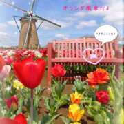 ヒメ日記 2026/04/07 10:14 投稿 三日月美伽 五十路マダムエクスプレス船橋店(カサブランカグループ)