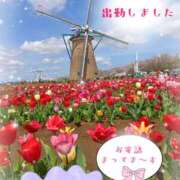 ヒメ日記 2026/04/08 09:42 投稿 三日月美伽 五十路マダムエクスプレス船橋店(カサブランカグループ)